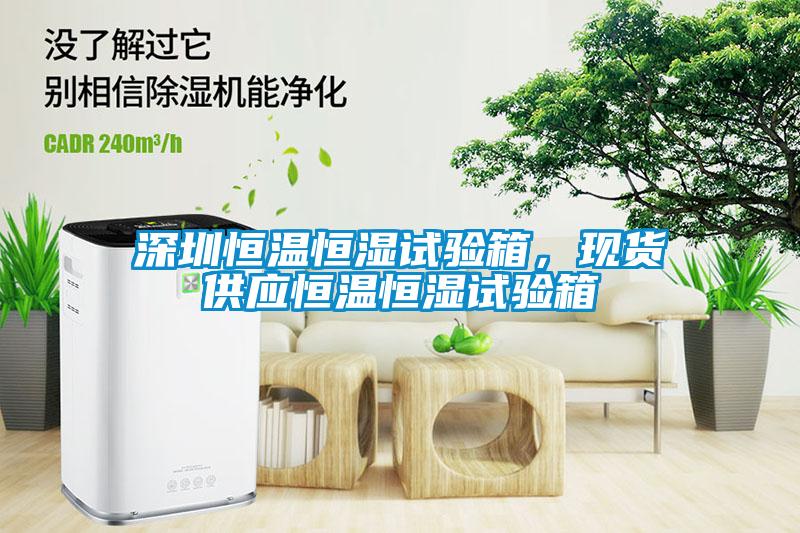 深圳恒溫恒濕試驗(yàn)箱，現(xiàn)貨供應(yīng)恒溫恒濕試驗(yàn)箱