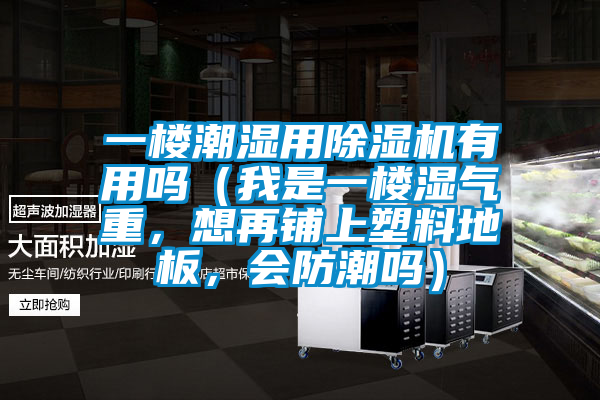 一樓潮濕用除濕機有用嗎（我是一樓濕氣重，想再鋪上塑料地板，會防潮嗎）