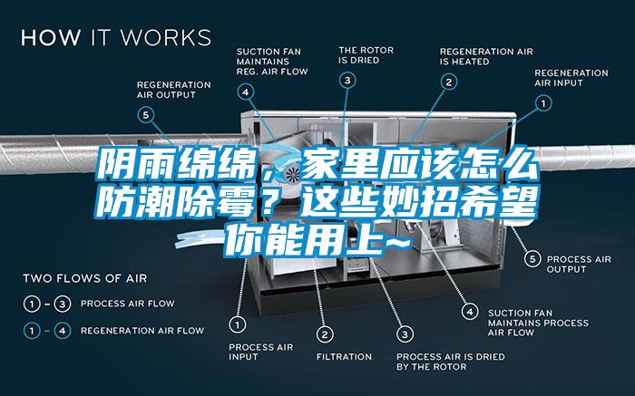 陰雨綿綿，家里應(yīng)該怎么防潮除霉？這些妙招希望你能用上~