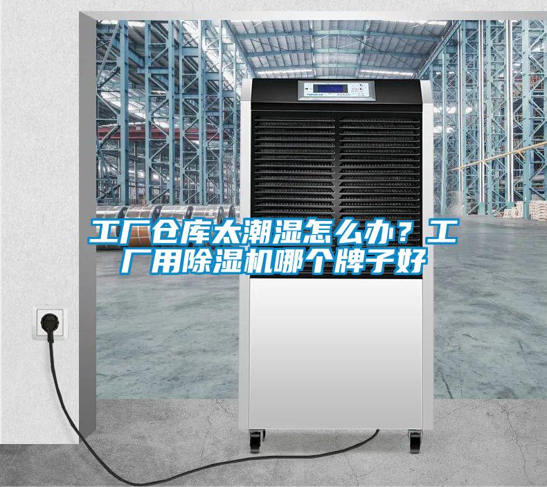 工廠倉庫太潮濕怎么辦？工廠用除濕機(jī)哪個(gè)牌子好