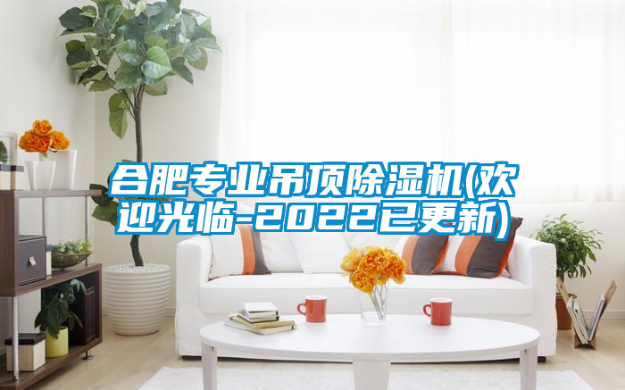合肥專(zhuān)業(yè)吊頂除濕機(jī)(歡迎光臨-2022已更新)