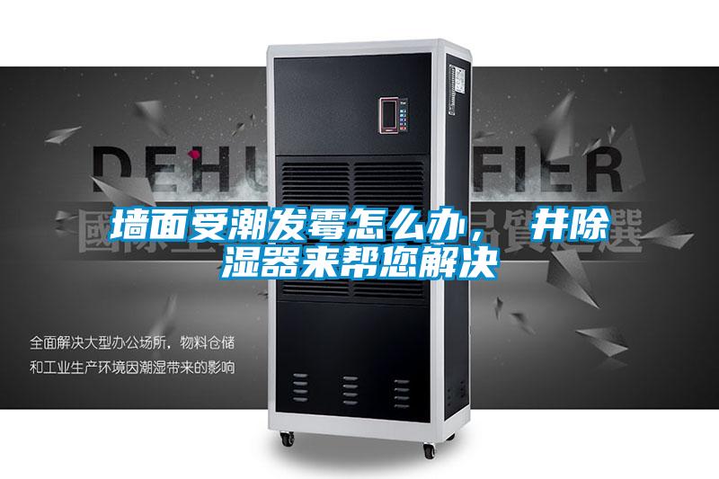 墻面受潮發(fā)霉怎么辦，東井除濕器來(lái)幫您解決