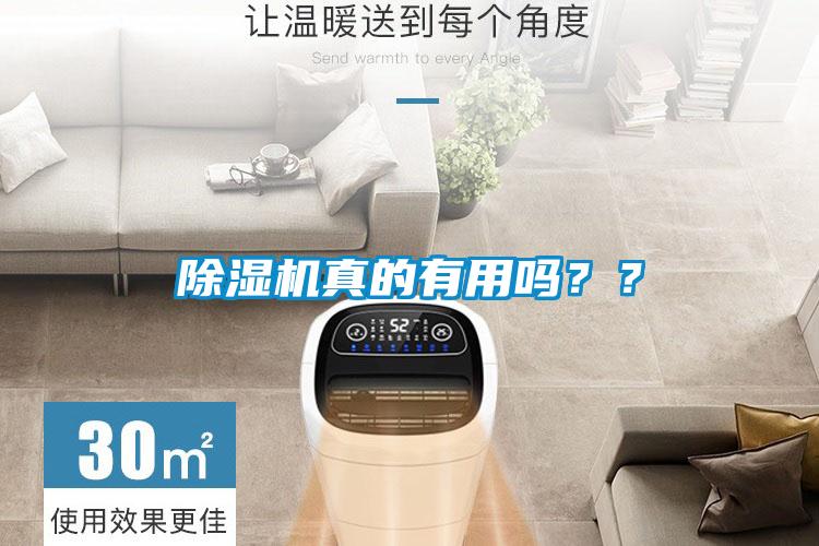 除濕機(jī)真的有用嗎？？