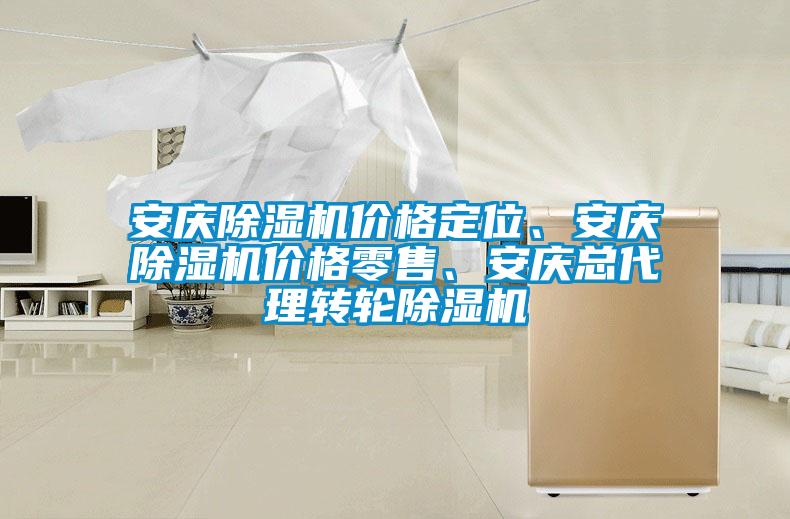 安慶除濕機價格定位、安慶除濕機價格零售、安慶總代理轉(zhuǎn)輪除濕機