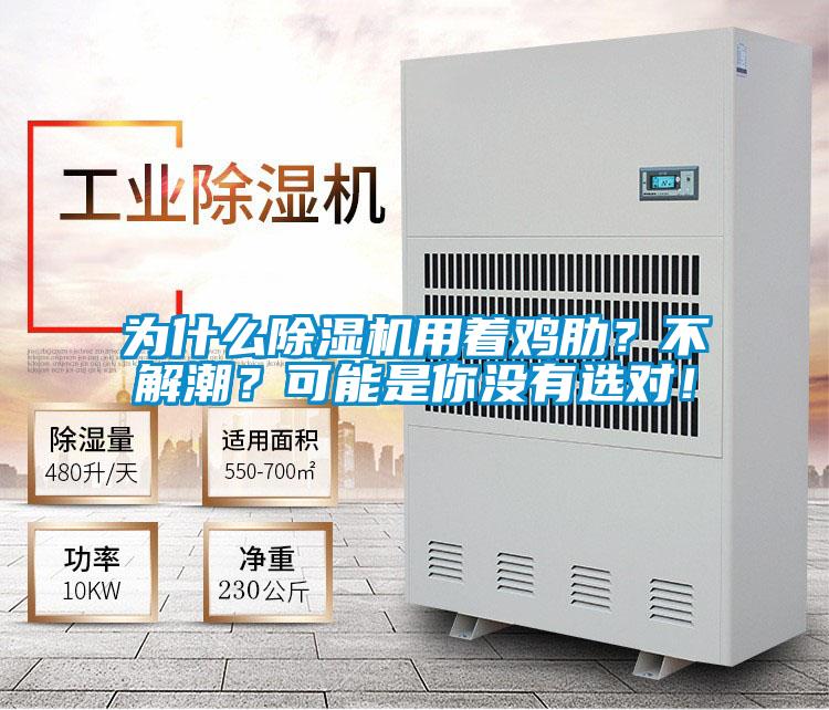 為什么除濕機(jī)用著雞肋？不解潮？可能是你沒有選對！
