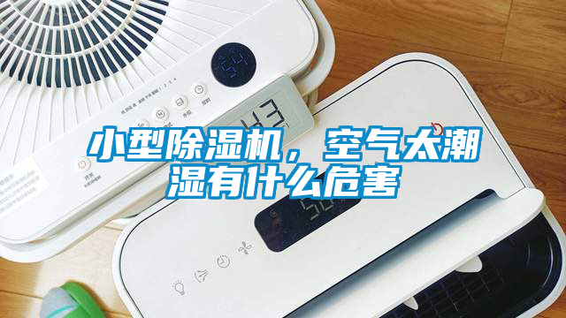 小型除濕機(jī)，空氣太潮濕有什么危害