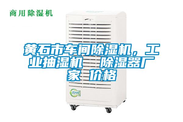 黃石市車間除濕機，工業(yè)抽濕機  除濕器廠家 價格