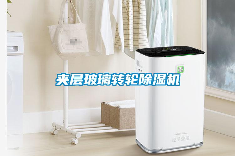 夾層玻璃轉(zhuǎn)輪除濕機