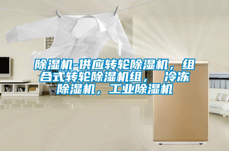 除濕機(jī)-供應(yīng)轉(zhuǎn)輪除濕機(jī)，組合式轉(zhuǎn)輪除濕機(jī)組， 冷凍除濕機(jī)，工業(yè)除濕機(jī)