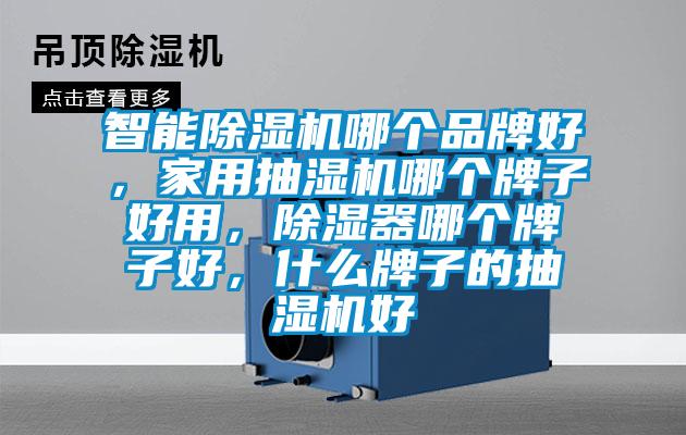 智能除濕機哪個品牌好，家用抽濕機哪個牌子好用，除濕器哪個牌子好，什么牌子的抽濕機好