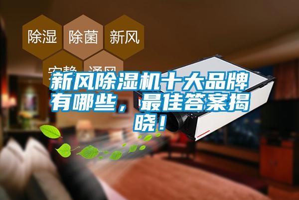 新風(fēng)除濕機(jī)十大品牌有哪些，最佳答案揭曉！