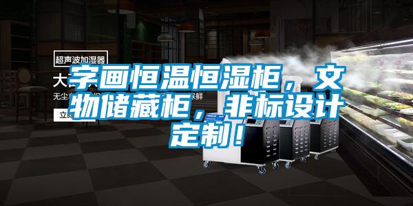 字畫恒溫恒濕柜，文物儲藏柜，非標設計定制！