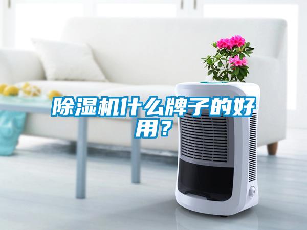 除濕機(jī)什么牌子的好用？