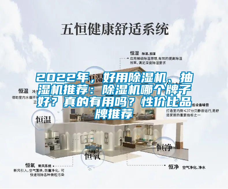 2022年，好用除濕機、抽濕機推薦：除濕機哪個牌子好？真的有用嗎？性價比品牌推薦