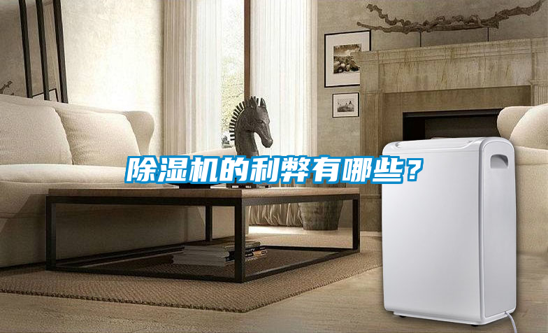 除濕機(jī)的利弊有哪些？