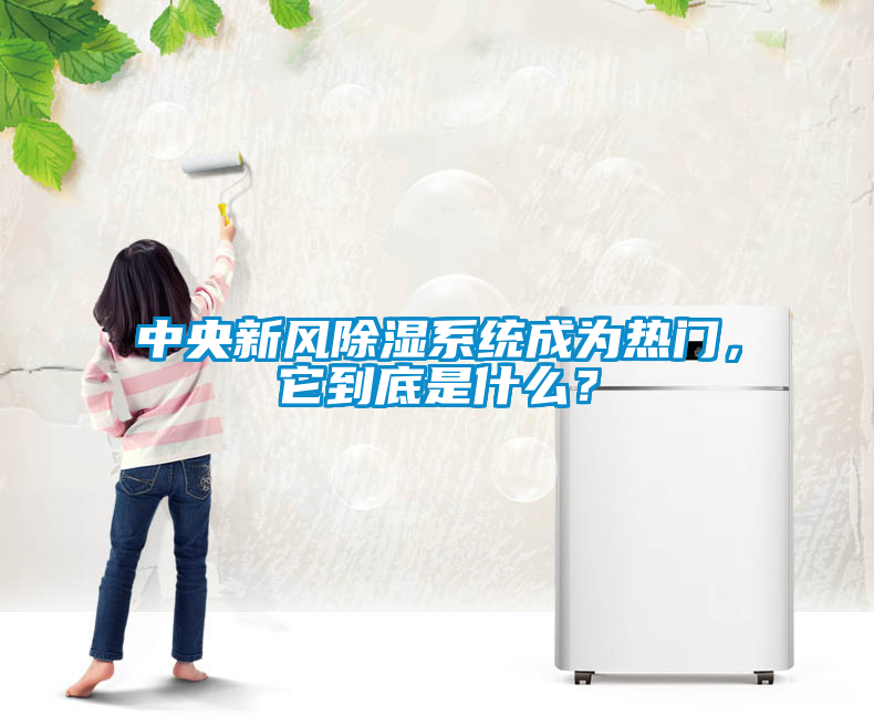 中央新風除濕系統(tǒng)成為熱門，它到底是什么？