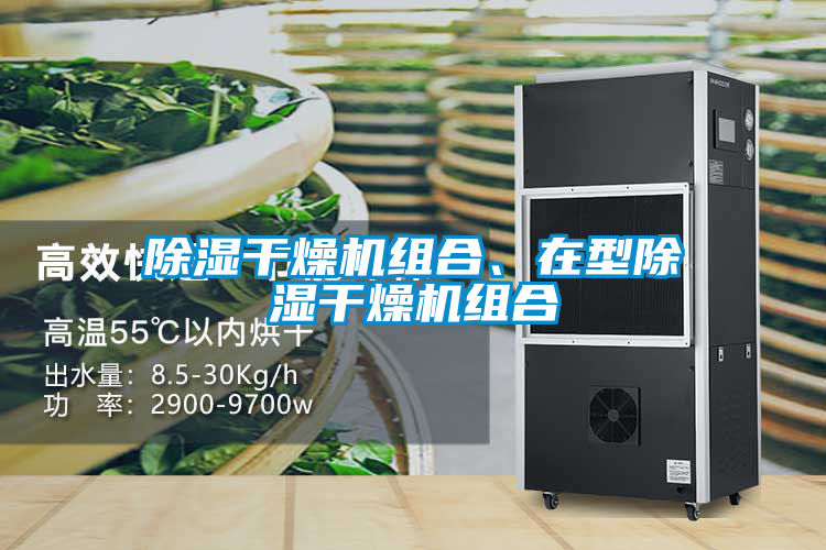 除濕干燥機(jī)組合、在型除濕干燥機(jī)組合