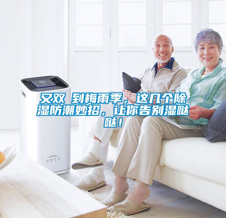 又雙叒到梅雨季，這幾個(gè)除濕防潮妙招，讓你告別濕噠噠！