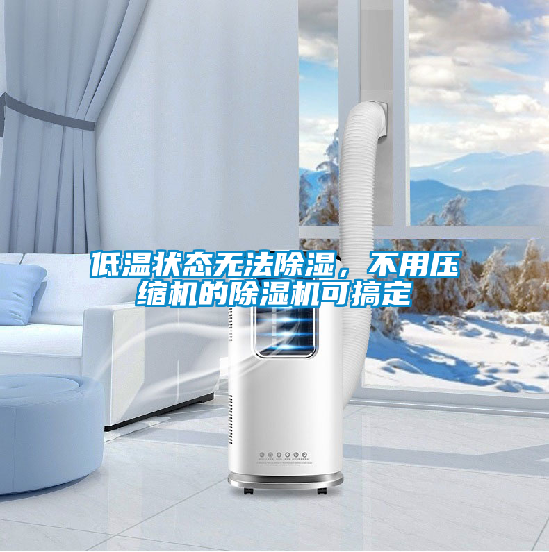 低溫狀態(tài)無(wú)法除濕，不用壓縮機(jī)的除濕機(jī)可搞定