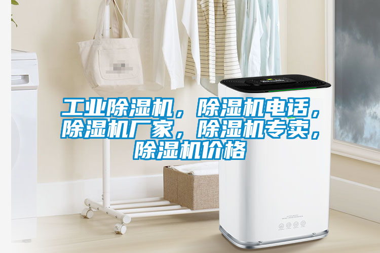 工業(yè)除濕機，除濕機電話，除濕機廠家，除濕機專賣，除濕機價格