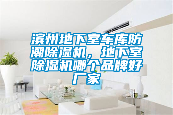 濱州地下室車庫防潮除濕機(jī)，地下室除濕機(jī)哪個品牌好廠家