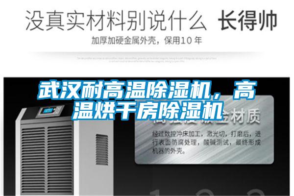 武漢耐高溫除濕機(jī)，高溫烘干房除濕機(jī)