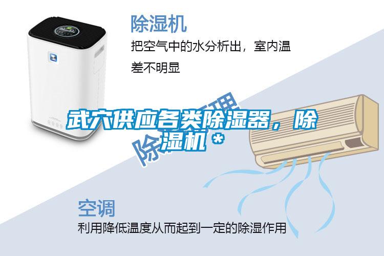 武穴供應(yīng)各類除濕器，除濕機(jī)＊