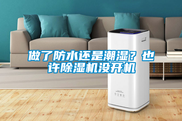 做了防水還是潮濕？也許除濕機(jī)沒開機(jī)