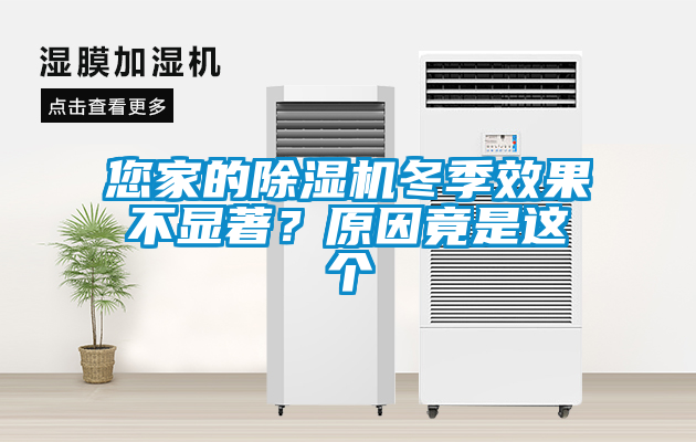 您家的除濕機冬季效果不顯著？原因竟是這個