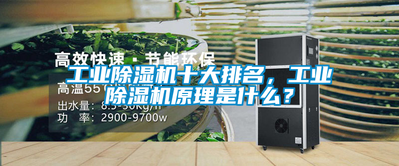 工業(yè)除濕機十大排名，工業(yè)除濕機原理是什么？