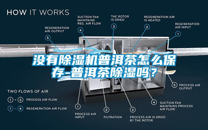 沒有除濕機普洱茶怎么保存-普洱茶除濕嗎？