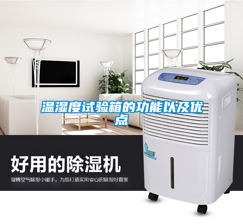 溫濕度試驗箱的功能以及優(yōu)點