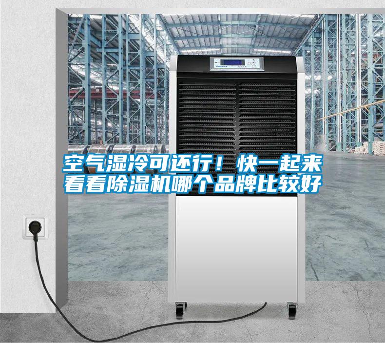 空氣濕冷可還行！快一起來(lái)看看除濕機(jī)哪個(gè)品牌比較好