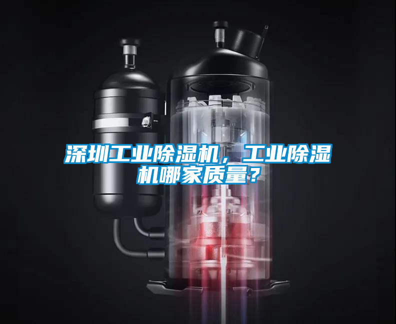 深圳工業(yè)除濕機，工業(yè)除濕機哪家質(zhì)量？