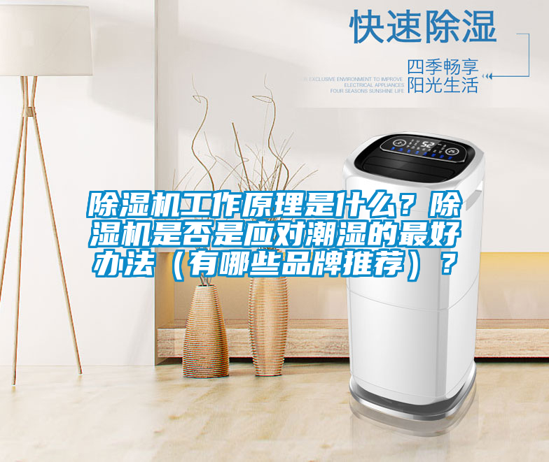 除濕機(jī)工作原理是什么？除濕機(jī)是否是應(yīng)對(duì)潮濕的最好辦法（有哪些品牌推薦）？