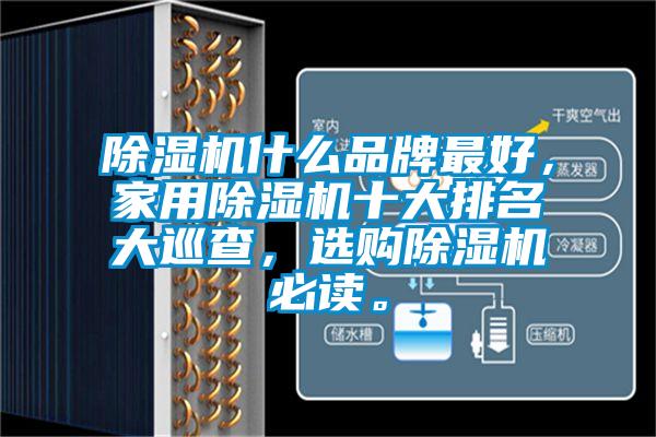 除濕機(jī)什么品牌最好，家用除濕機(jī)十大排名大巡查，選購(gòu)除濕機(jī)必讀。