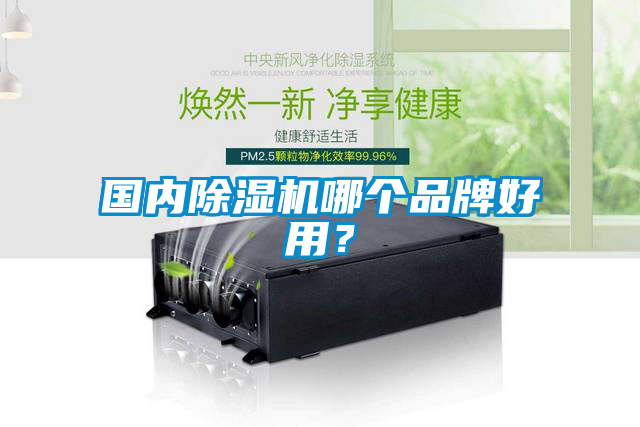 國(guó)內(nèi)除濕機(jī)哪個(gè)品牌好用？