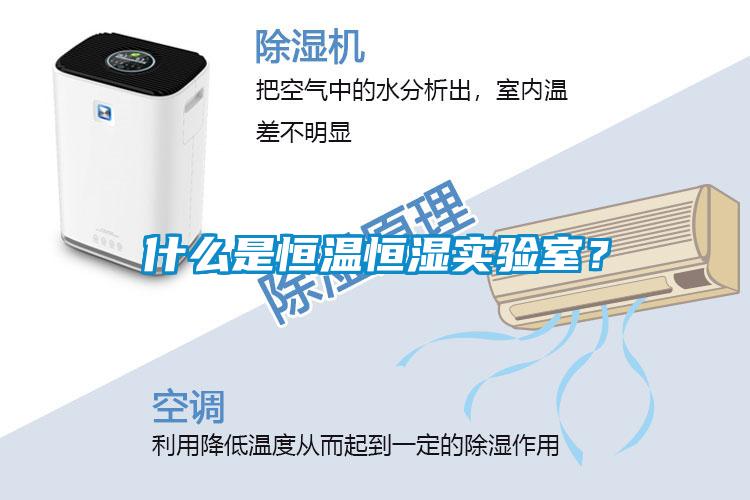 什么是恒溫恒濕實(shí)驗(yàn)室？