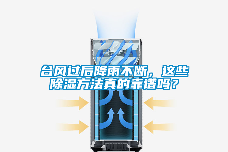 臺(tái)風(fēng)過(guò)后降雨不斷，這些除濕方法真的靠譜嗎？