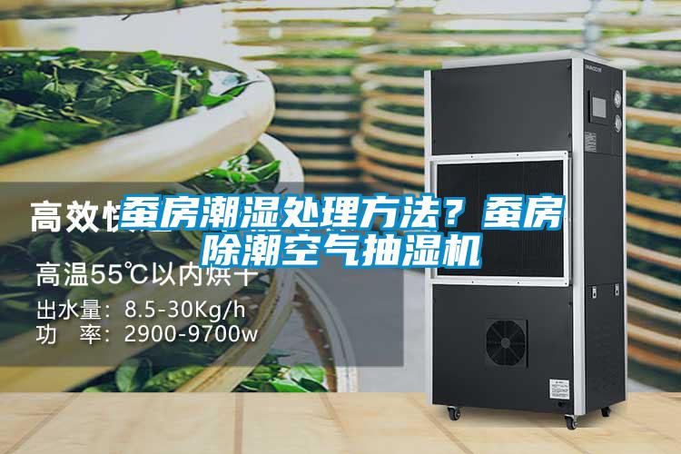 蠶房潮濕處理方法？蠶房除潮空氣抽濕機(jī)