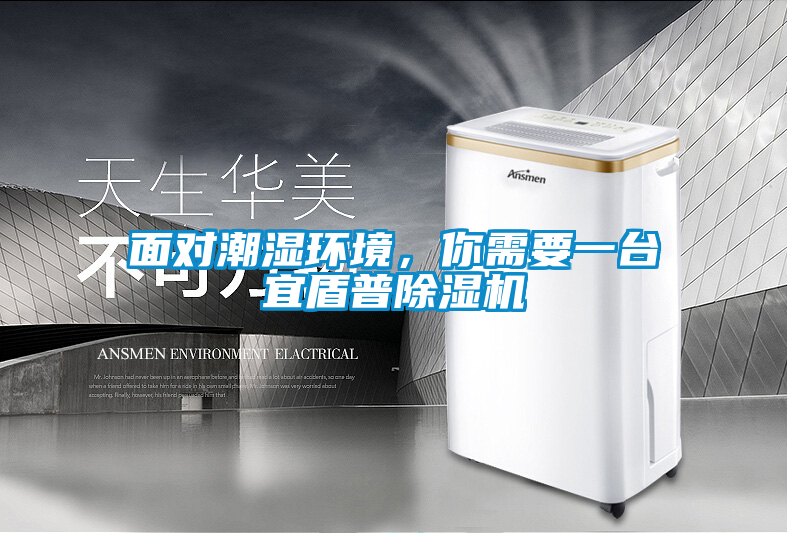 面對潮濕環(huán)境，你需要一臺宜盾普除濕機