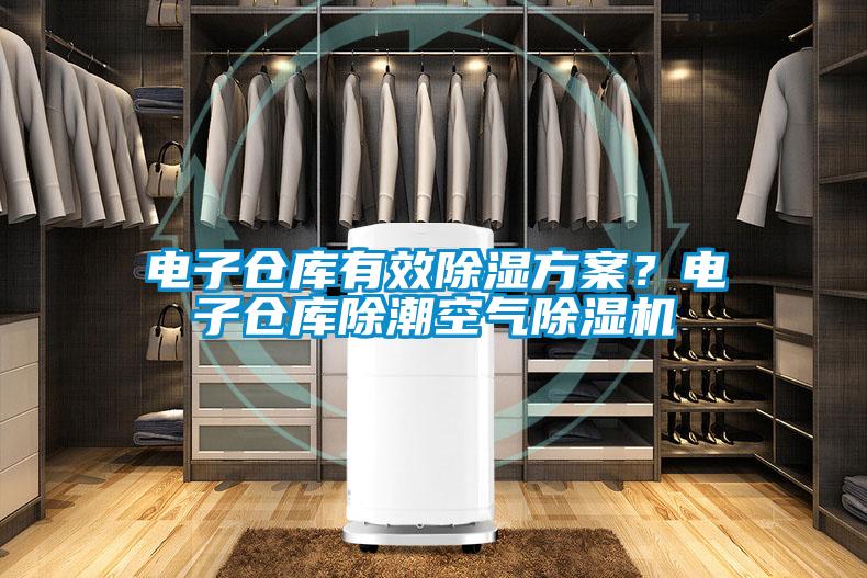 電子倉(cāng)庫(kù)有效除濕方案？電子倉(cāng)庫(kù)除潮空氣除濕機(jī)
