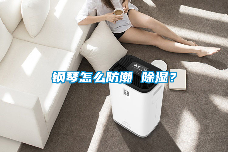 鋼琴怎么防潮 除濕？