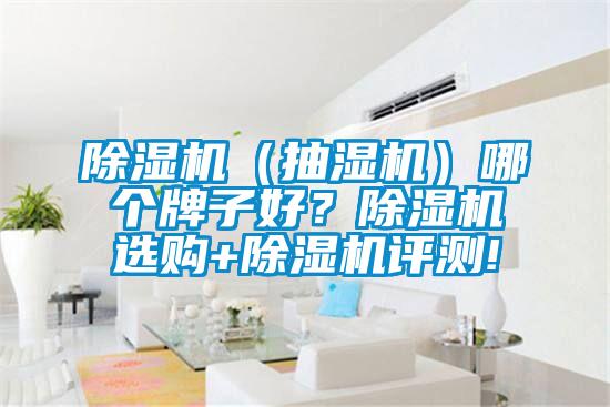 除濕機(jī)（抽濕機(jī)）哪個(gè)牌子好？除濕機(jī)選購+除濕機(jī)評(píng)測(cè)!