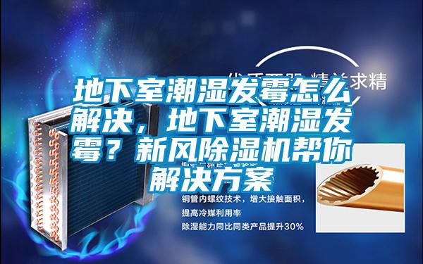 地下室潮濕發(fā)霉怎么解決，地下室潮濕發(fā)霉？新風除濕機幫你解決方案