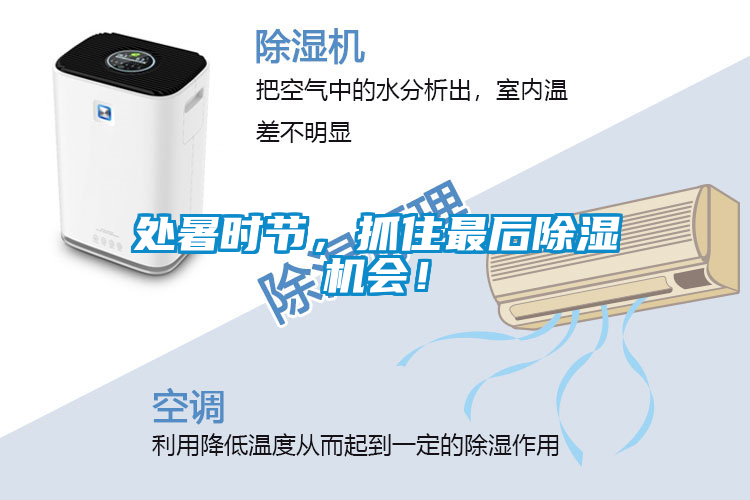 處暑時(shí)節(jié)，抓住最后除濕機(jī)會(huì)！
