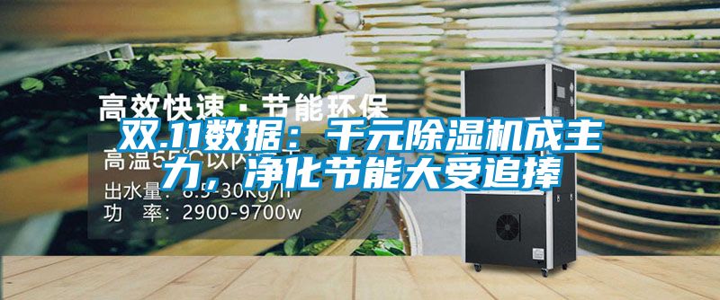 雙.11數(shù)據(jù)：千元除濕機(jī)成主力，凈化節(jié)能大受追捧