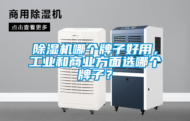 除濕機哪個牌子好用，工業(yè)和商業(yè)方面選哪個牌子？