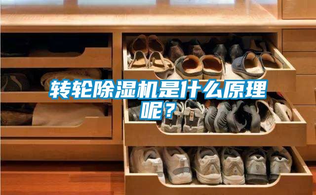 轉(zhuǎn)輪除濕機(jī)是什么原理呢？