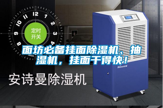 面坊必備掛面除濕機、抽濕機，掛面干得快！